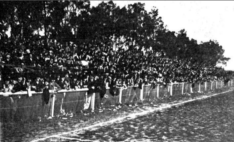 Estadio argentino con público