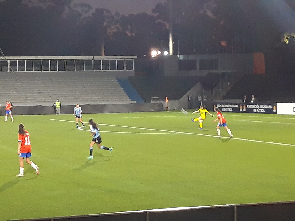 Aficionados viendo un partido en una pantalla grande de bar deportivo